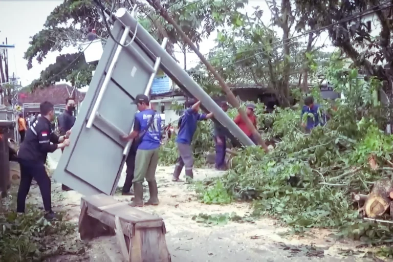 Lima Pohon Tumbang Saat Angin Kencang Pembersihan Pohon Tumbang Dari Jalan Cempaka, Kelurahan Telaga Biru, Banjarmasin Barat.