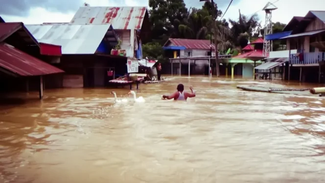 
 Banjir dua meter di kecamatan Simpang Empat Kabupaten Banjar yang terjadi pada awal tahun 2022 (foto: Ndi, www.riceknews.com)
