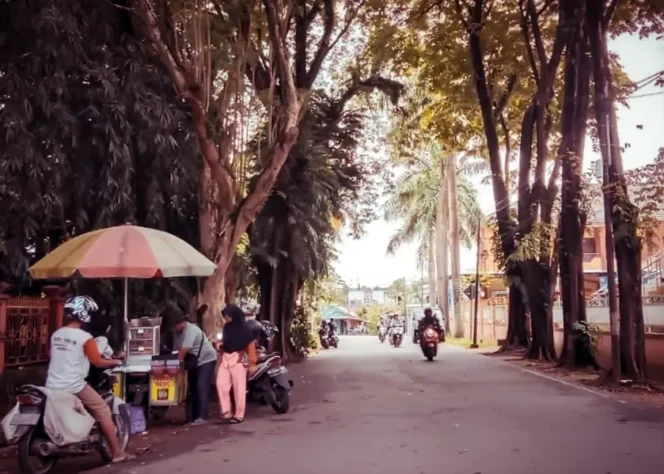 
 Deretan sejumlah pohon penghijauan yang ada di sudut kota Banjarbaru, Minggu (18/12/2022)