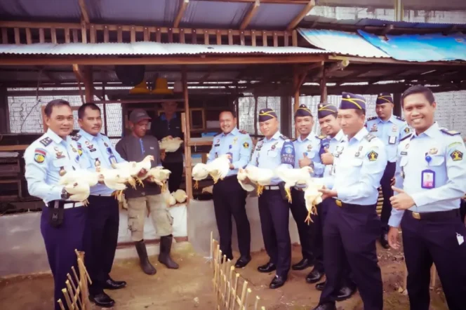 
 Kalapas Narkotika Karang Intan Wahyu Susetyo panen perdana ayam Kalasan bersama jajaran struktural, Senin (26/12/2022)