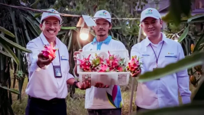 
 Program Electrifying Agriculture PLN untuk Kelompok Petani Buah Naga Tani Makmur di Kecamatan Bati-bati, Kamis (22/12/2022)