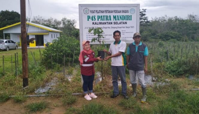 
 Pengembangan Kelengkeng Lokal Super di Mataraman