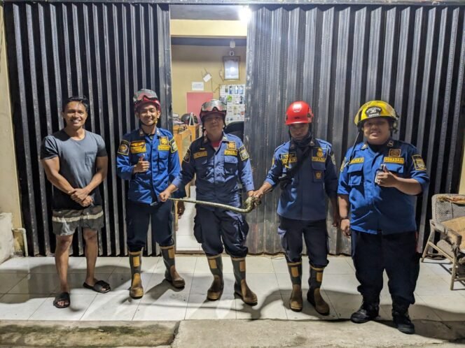 
 <strong>Evakuasi  Ular Piton dari Langit-langit Rumah Warga</strong>