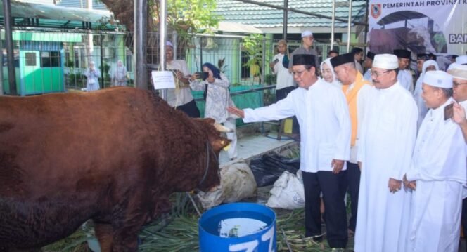 
 Bantuan Sapi Kurban Dari Jokowi Diserahkan Paman Birin
