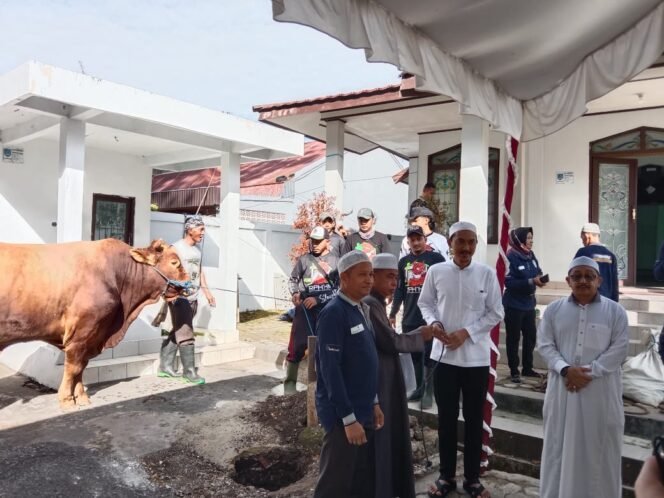 
 Hari Raya Kurban, Pemkab Banjar Sembelih 5 Ekor Sapi