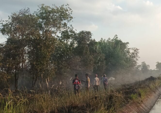 
 Sinergitas Tangani Karhutla di Kabupaten Banjar, Dua Lokasi Kebakaran Lahan Dalam Sehari