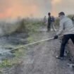 Karhutla di PT BIT Cintapuri Darussalam, Kapolres Banjar berjibaku memadamkan api