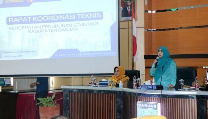 
 Strategi Penanganan Stunting Untuk Capai Standar WHO