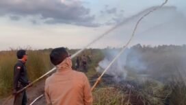 Sinergitas Pemadaman Karhutla di salah satu kecamatan yang ada di Kabupaten Banjar Kalimantan Selatan.