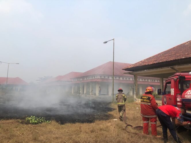 
 Karhutla Merembet ke Pasar Gambut