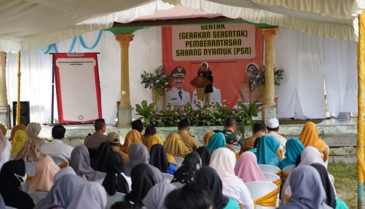 Atasi Kasus DBD, Pemkab Banjar Melaunching Gertak PSN