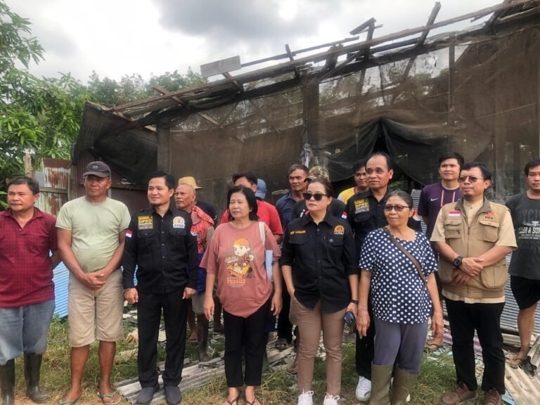 Peternak di Banjarbaru Minta Pembongkaran Kandang Babi Ditunda Hingga Akhir Oktober