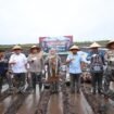Polda Kalsel menggelar penanaman jagung di lahan seluas 120 hektare yang berlokasi di Jalan Gubernur Syarkawi, Sungai Tabuk, Kabupaten Banjar, Selasa (21/1/2025). foto-istimewa