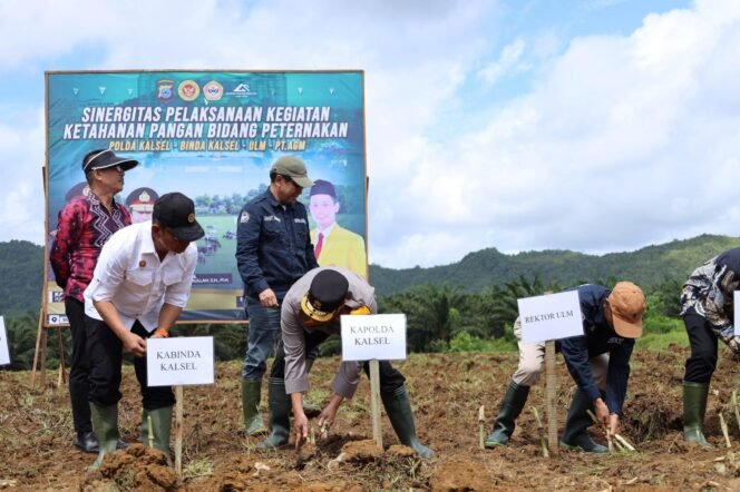 
 Sinergitas Polda Kalsel, Binda, ULM dan PT. AGM Dukung Ketahanan Pangan Bidang Peternakan