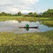 Lahan Pertanian di Desa Mekar, Martapura Timur, Kabupaten Banjar kini menjadi tempat memancing warga. foto-haris