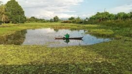 Lahan Pertanian di Desa Mekar, Martapura Timur, Kabupaten Banjar kini menjadi tempat memancing warga. foto-haris