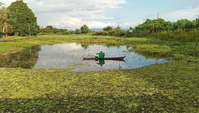 
 Lahan Pertanian di Desa Mekar, Martapura Timur, Kabupaten Banjar kini menjadi tempat memancing warga. foto-haris