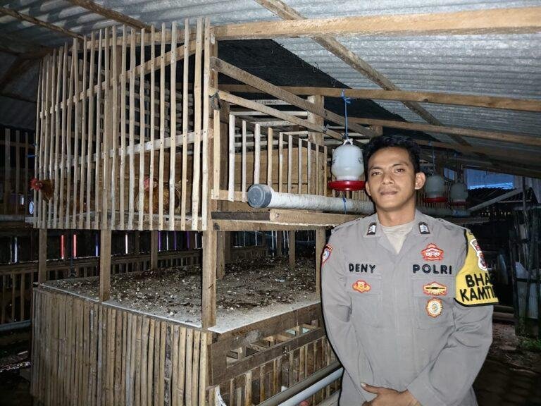 Bhabinkamtibmas Kotabaru ini Sukses Beternak Ayam di Pekarangan Rumah