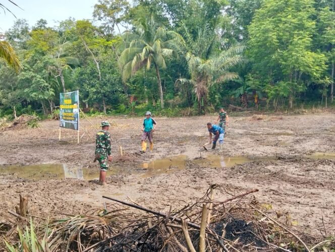 
 TMMD ke-123 Buka Lahan Ketahanan Pangan di Desa Talusi Kotabaru