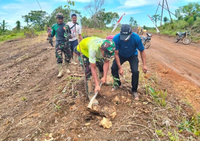 
 Satgas TMMD Kotabaru Tanam Pohon Bersama Warga Desa Talusi