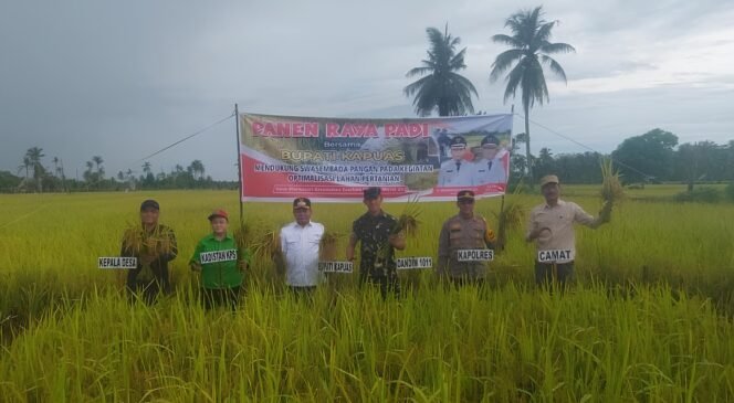
 Bupati Kapuas, H. Muhammad Wiyatno, memimpin panen raya padi di Desa Warnasari, Kecamatan Tamban Catur, Jumat (7/3/2025) sore. foto-istimewa