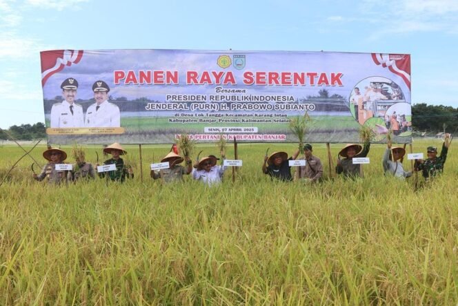 
 Wabup Banjar Tekankan Potensi Lumbung Padi Saat Panen Raya di Lok Tangga