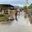 Warga Desa Teluk Selong Ulu, Martapura Barat, Kabupaten Banjar menyikat jalan yang licin akibat terlalu lama terendam banjir. foto-istimewa 