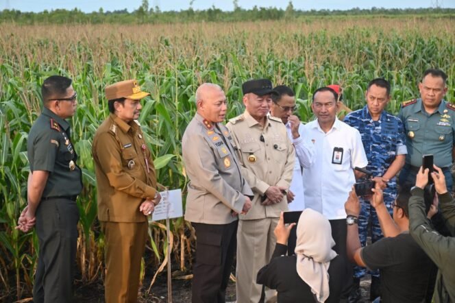 
 Kapolda Kalsel dan Forkopimda Pantau Progres Ketahanan Pangan di Banjar