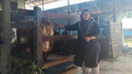Hijriah, seorang peternak yang sapinya dibeli Presiden Prabowo untuk disembelih di Hari Raya Idul Adha 2025. foto-Haris/Riceknews 