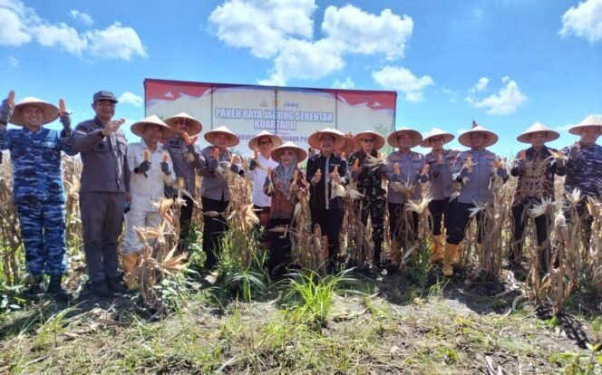 
 Panen raya jagung Polda Kalsel di Jalan Gubernur Syarkawi, Sungai Tabuk, Kabupaten Banjar, Kamis (5/6/2025). foto-istimewa