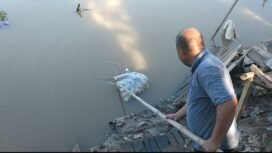 Warga mengangkat ikan busuk terbungkus plastik. foto-Haris