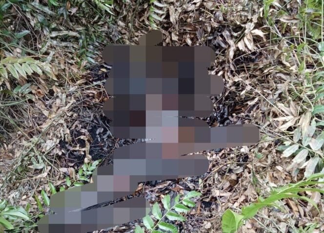 
 Penemuan mayat membusuk tanpa identitas di semak - semak dekat Jl Gubernur Syarkawi, Kecamatan Gambut, Kabupaten Banjar, Senin (30/6/2025). foto-istimewa