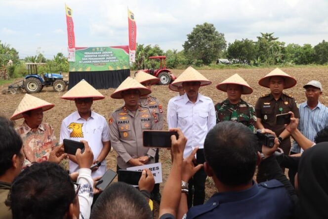 
 Polres Banjar Kembali Tanam Jagung Program Nasional