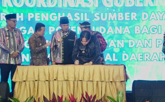 
 Rakor DBH SDA di Balikpapan: Wagub Kalsel Dorong Sumber Energi Terbarukan