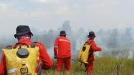 Pemadaman Karhutla di wilayah Banjarbaru. Foto: manggala_daops_banjar/instagram