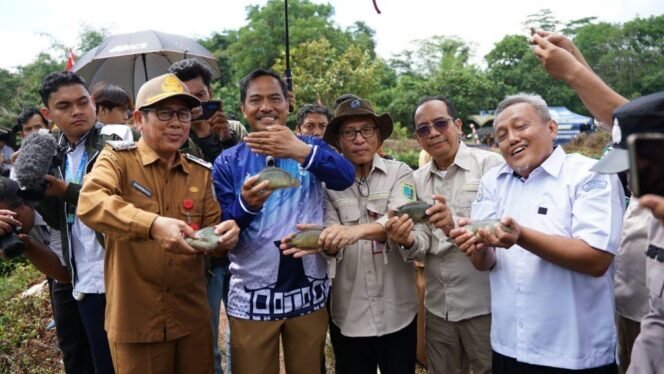 
 Program Pemkab Banjar Sukses, Panen Papuyu Omzet Ratusan Juta!