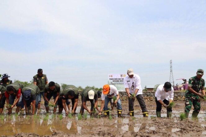 
 Panen Raya dan Tanam Padi Serentak di Desa Sungai Rasau, Kecamatan Cerbon, Kabupaten Barito Kuala, Jumat (5/9/2025). Foto: MC Kalsel