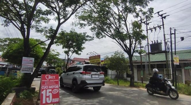 
 Pohon Penghijauan Jalan Veteran Dinilai Warga Rawan Tumbang