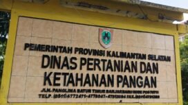 Dinas Pertanian dan Ketahanan Pangan (DPKP) Kalimantan Selatan mencatat mayoritas lulusan Program YESS adalah perempuan. Foto: Haris/Ricek
