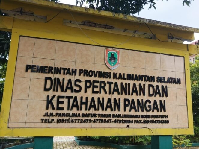 
 Dinas Pertanian dan Ketahanan Pangan (DPKP) Kalimantan Selatan mencatat mayoritas lulusan Program YESS adalah perempuan. Foto: Haris/Ricek