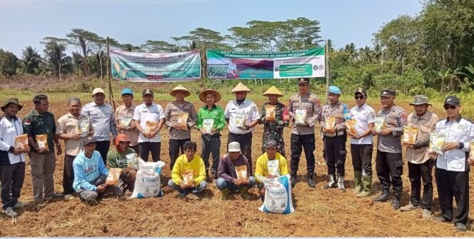 
 Tanam Jagung Perdana, Wujudkan Pangan Mandiri di Desa Semisir Kotabaru