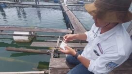 Pemeriksaan kadar keasaman lokasi budidaya perikanan di Aranio.  Foto: Van