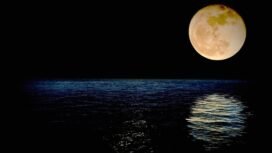 Ilustrasi Supermoon. Foto: Pixabay/Cristian Ferronato