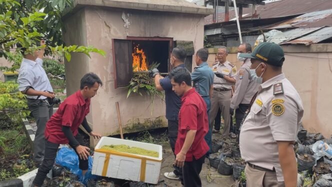 
 Pemusnahan Ribuan Bibit Sawit Dan Telur Belangkas Hasil Sitaan Balai Karantina Hewan, Ikan, dan Tumbuhan Kalimantan Selatan. Foto: Ricek.ID Erlan