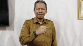 Kepala Dinas Kesehatan Provinsi Kalimantan Selatan, Diauddin. foto:mckalsel