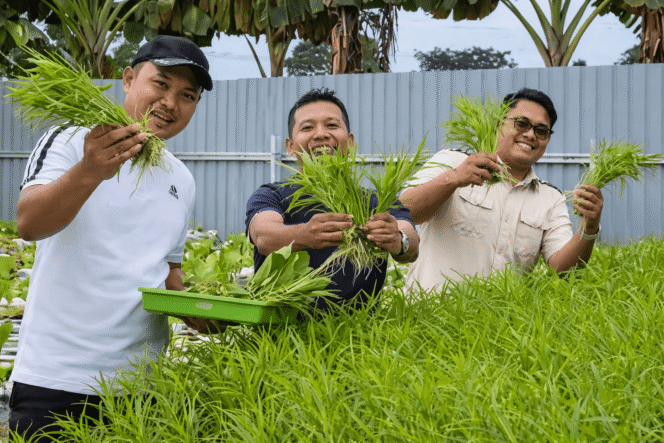 
 DPRD Kotabaru Pelajari Pengembangan Hidroponik di Lembur Hejo Indonesia