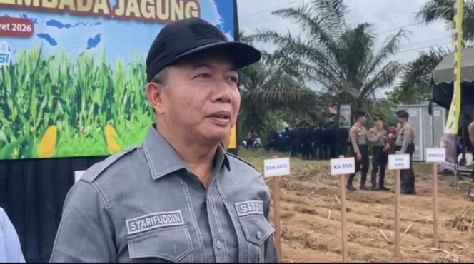 
 Pemprov Kalsel Siapkan Bibit dan Pupuk Dukung Penanaman Jagung Serentak Nasional