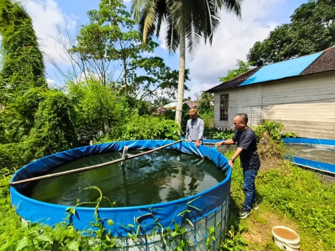 
 Pengembangan Ikan Papuyu sebagai Penggerak Ekonomi Desa di Kabupaten Banjar