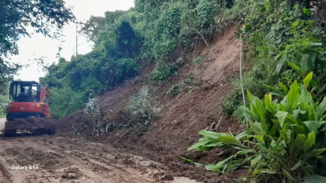 
 Akses Jalan Ambles Diterjang Longsor, Penanganan Darurat Dikebut