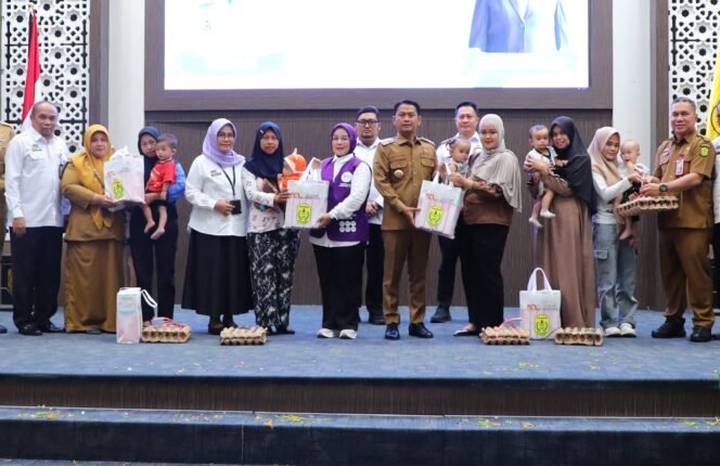 
 Tak Hanya 6 Standar Pelayanan Minimal, Posyandu Banjarmasin Juga Akan Kelola Sampah